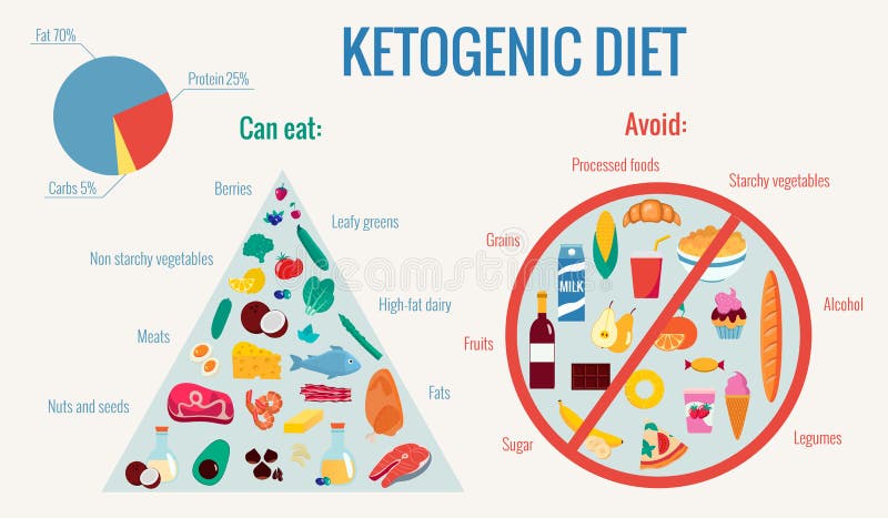 Ketogenic Diet Infographics Stock Illustrations – 131 Ketogenic Diet ...