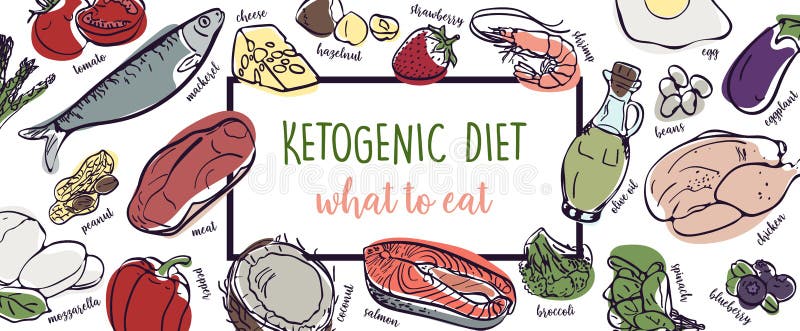 Ketogenic Diet vector sketch banner illustration. Healthy concept with food illustration collection - fats, proteins and vector illustration Ketogenic Diet vector sketch banner illustration. Healthy concept with food illustration collection - fats, proteins and vector illustration