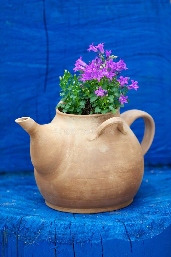 Kettle with flowers stock photo. Image of dishes, ceramics 20950370