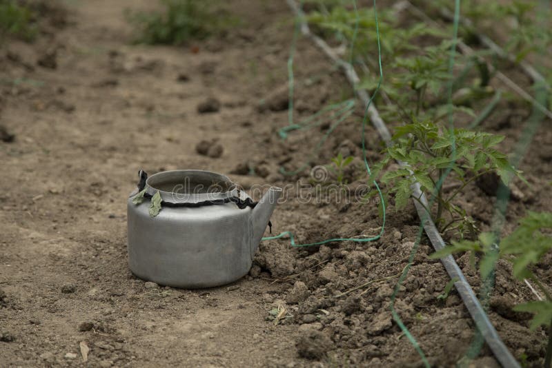 Kettle in the greenhouse stock image. Image of countryside 185377401