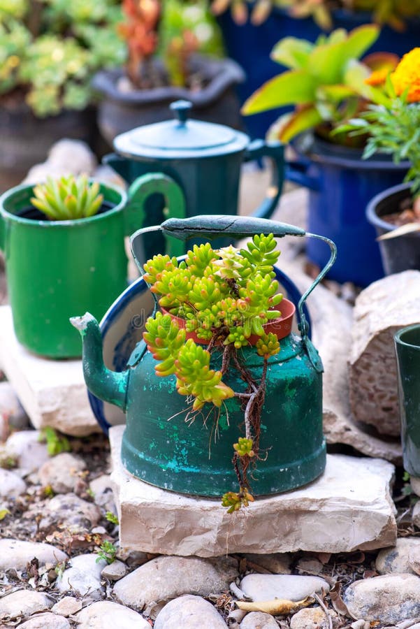 Kettle, teapot transformed into makeshift garden planters.