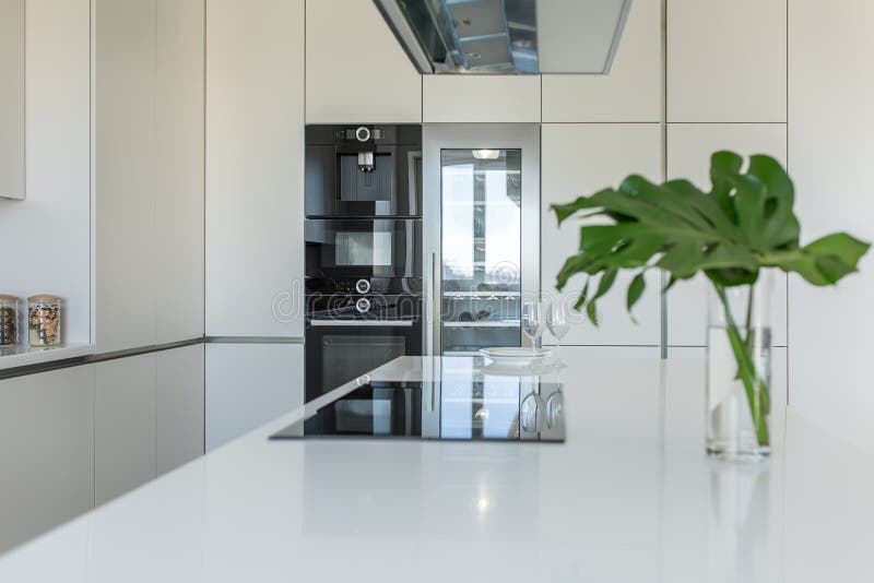 Keuken in moderne stijl royalty-vrije stock afbeeldingen Keuken in moderne stijl royalty-vrije stock afbeeldingen
