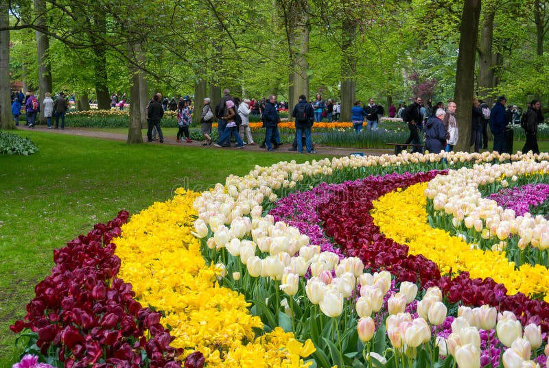 The Keukenhof flower garden near Lisse.