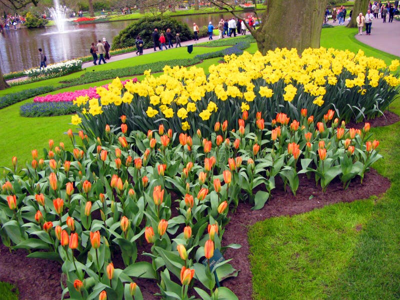 Keukenhof holland aprile 2007 : molti fiori colorati di colore giallo-giallo blu di colore rosa fotografie stock libere da diritti