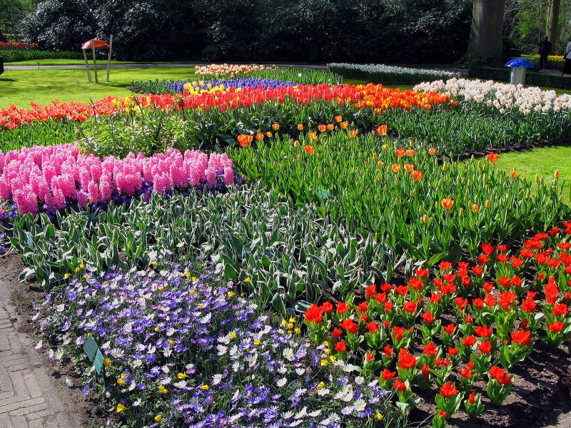 Keukenhof holland aprile 2007 : molti fiori di colore rosso giallo bianco e rosa in un bel letto di fiori nel parco immagine stock