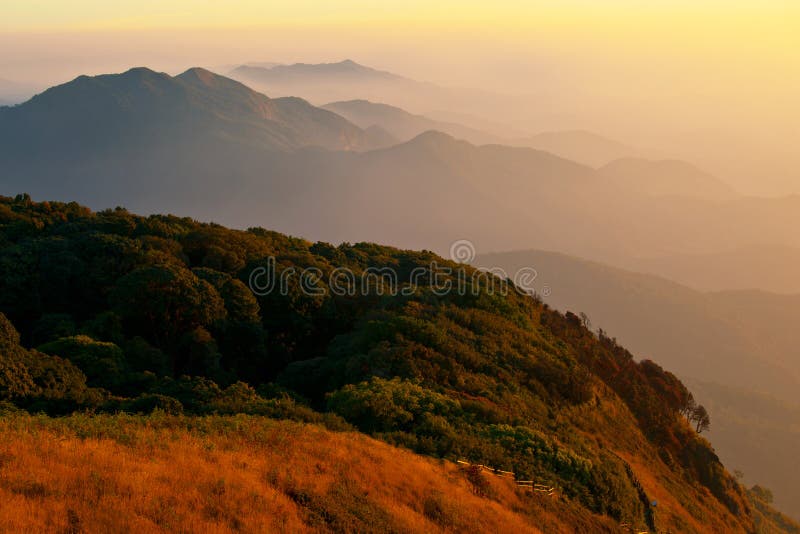 Kew Mae Pan Doi Inthanon Tropics