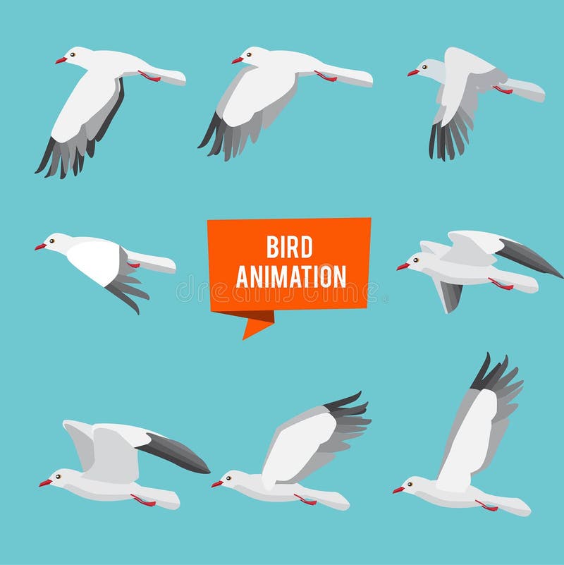 Key Frames of Animation Flying Bird Stock Vector - Illustration of animated, group: 112494257 Key Frames of Animation Flying Bird Stock Vector - Illustration of animated, group: 112494257