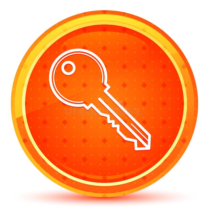 Orange key icon stock vector. Illustration of dimension 9335832