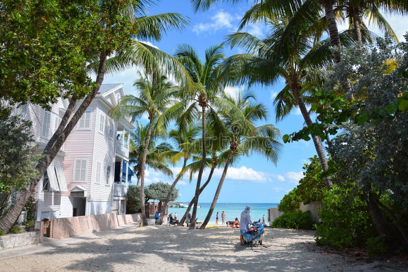 Key West Dogs Beach