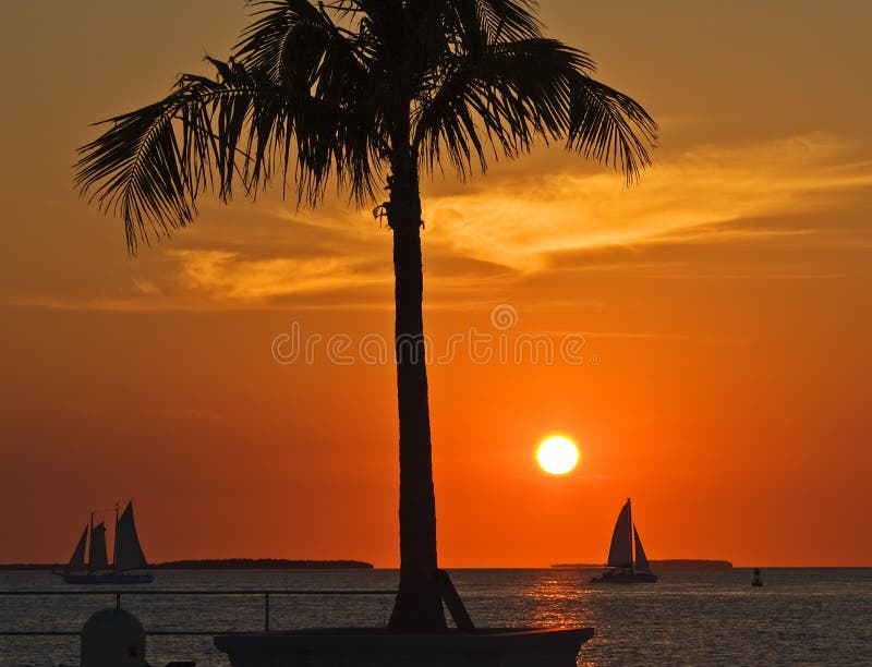 Key West sunset. Sunset view with palm tree and sailboats from dock near Mallory Square, Key West, Florida Key West sunset. Sunset view with palm tree and sailboats from dock near Mallory Square, Key West, Florida