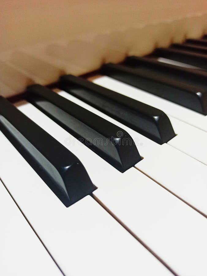 Keyboard Piano are Black and White Stock Image Image of piano, tuts