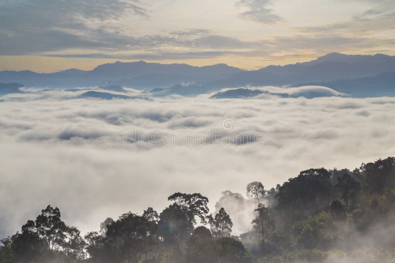 Khao Khai Nui, Sea of fog in the winter mornings at sunrise, New landmark to see beautiful scenery