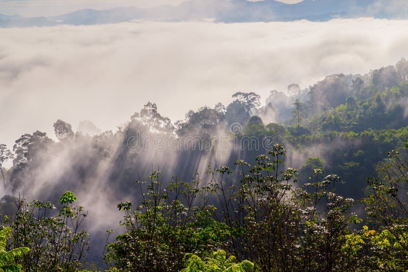 Khao Khai Nui, Sea of fog in the winter mornings at sunrise, New landmark to see beautiful scenery at Thailand