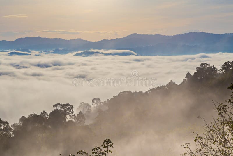 Khao Khai Nui, Sea of fog in the winter mornings at sunrise, Thailand