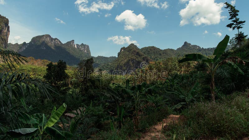 Khao Sok Jungle em Tailândia foto de stock royalty free Khao Sok Jungle em Tailândia foto de stock royalty free