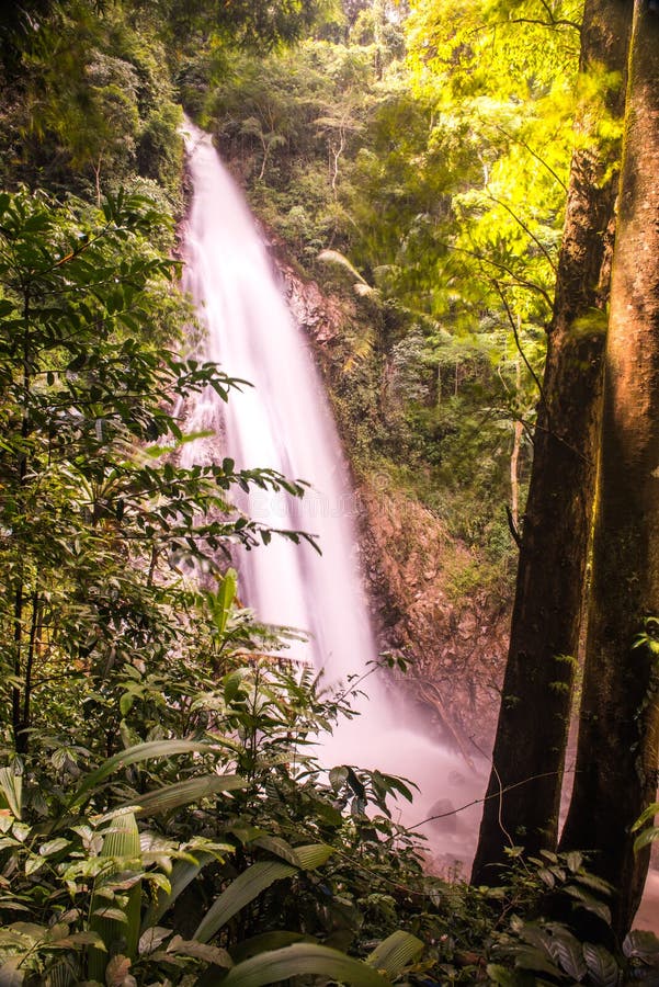 chiang rai waterfall tour