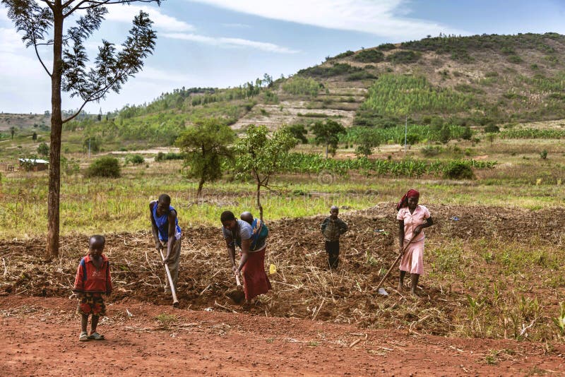 African workers. This women carrying her child on her back works in field to. African workers. This women carrying her child on her back works in field to.