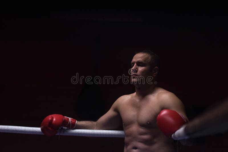 Boxer In Corner With Trainers Stock Photo Image of bygone, adult