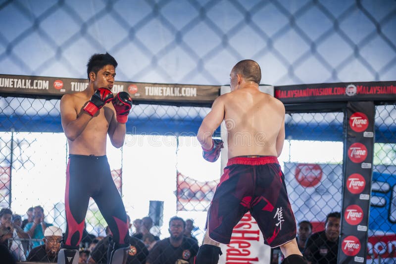 Kick Boxing Competition editorial stock image. Image of boxing 54618339