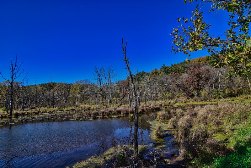Kickapoo River at the Kickapoo Valley Preserve in Fall Stock Image