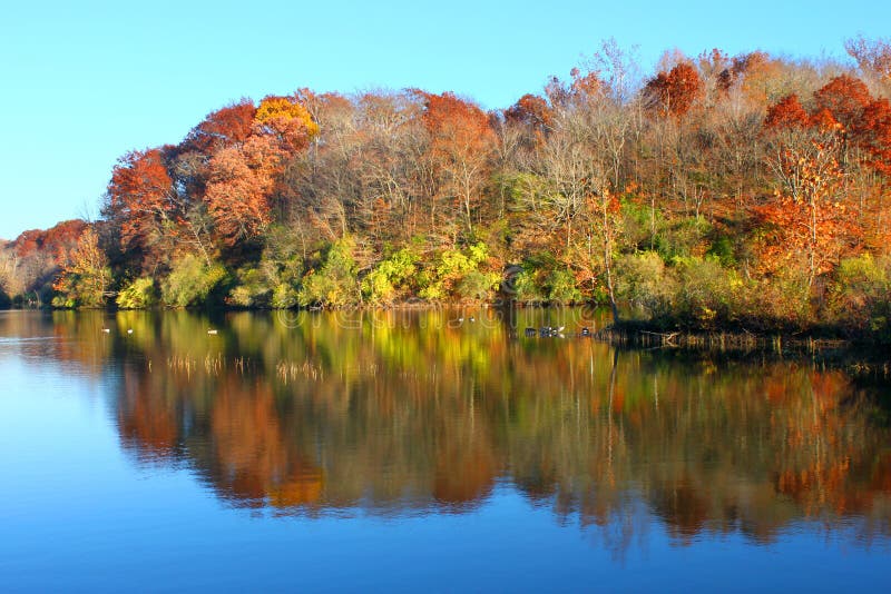 Kickapoo State Park Illinois Stock Photo Image of fall, state 49282834