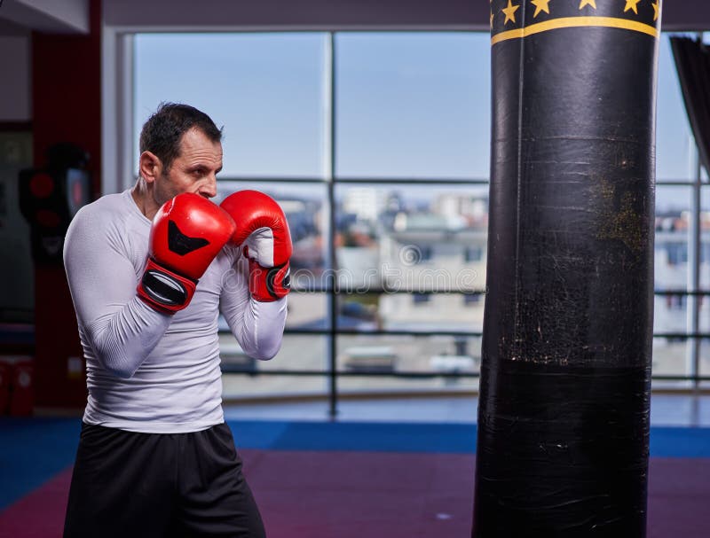 Kickboxer Hitting the Heavy Bag in the Gym Stock Image Image of