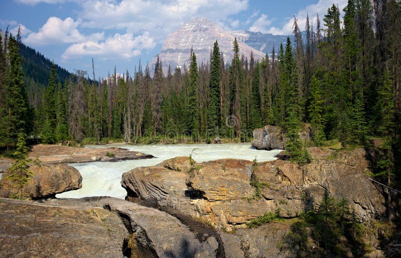 The Kicking Horse River with Mt. Stephen in the background, Yoho National Park, British Columbia, Canada