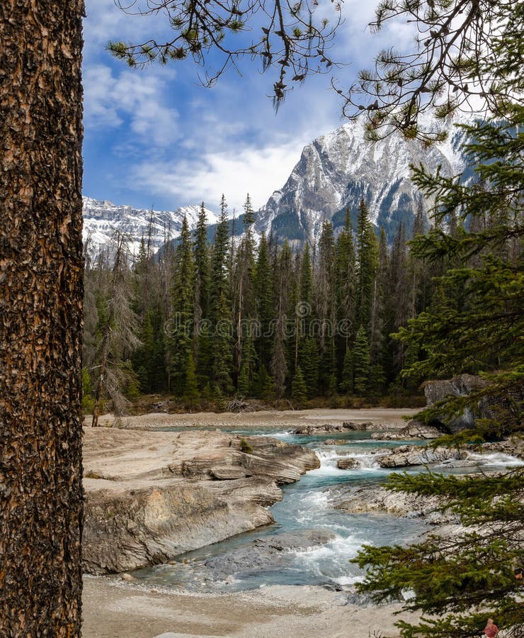 Kicking Horse River in Yoho National Park, British Columbia, Canada