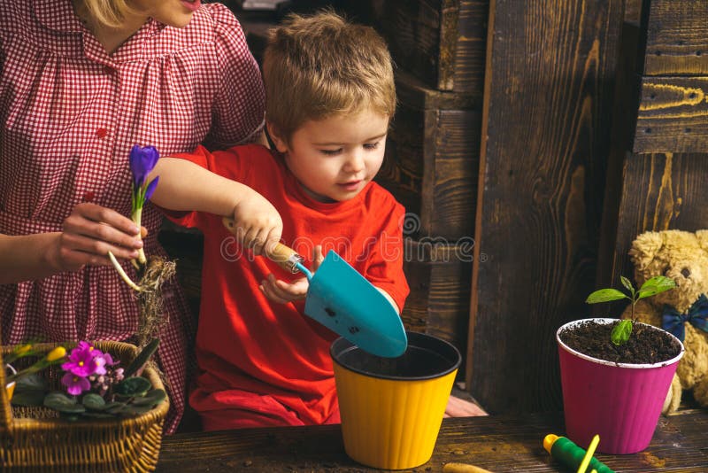 Kid concept. Kid learn planting flower in pot with soil. Little kid potting plants. Adorable kid with gardening tools royalty free stock photos Kid concept. Kid learn planting flower in pot with soil. Little kid potting plants. Adorable kid with gardening tools royalty free stock photos