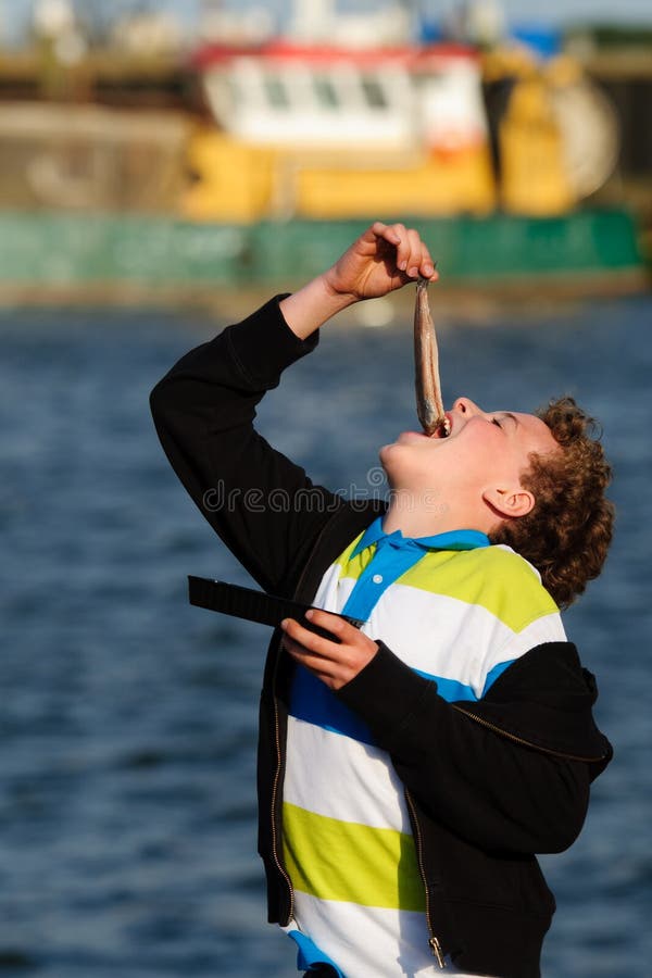 Eating dutch herring stock image. Image of caucasian 19302557