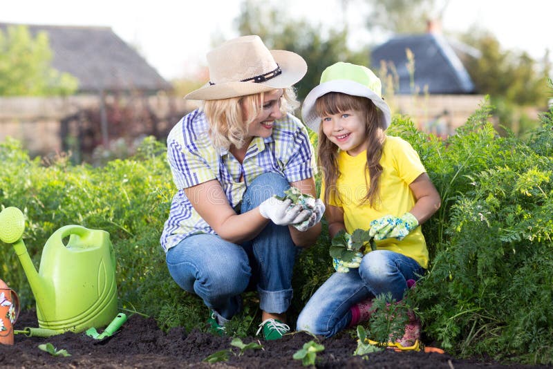 Kid Girl with Mom Happily Picking Strawberries at Strawberry Patch ...