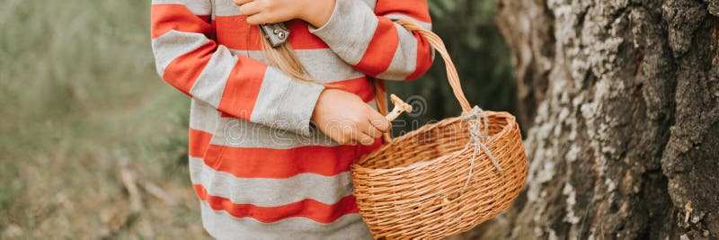 kid girl mushroom picker is seek for and picking mushrooms with basket in the summer forest or woodland. child survivalists gather