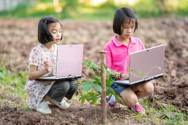 Kid holding laptop and looking vegetable plant in garden