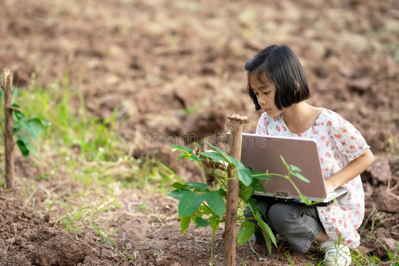 Kid holding laptop and looking vegetable plant in garden