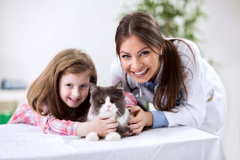 Kid with pet at the veterinary doctor stock photography Kid with pet at the veterinary doctor stock photography