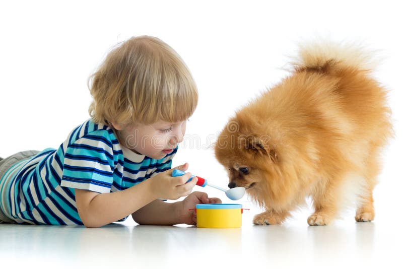 Little Boy Playing Dog Spitz Isolated White Background Stock Photos