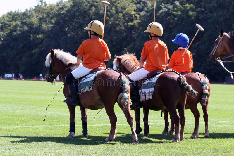 Download Polo Stock Photos - Download 29,788 Royalty Free Photos