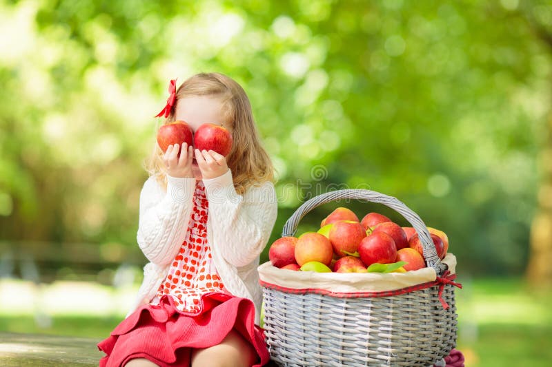 Kider som plockar äpplen på fruktodling royaltyfri bild