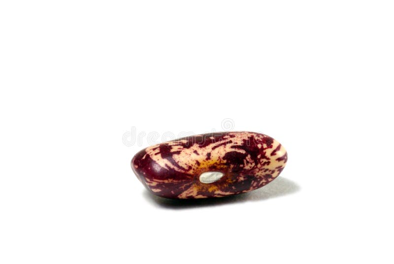 Kidney bean