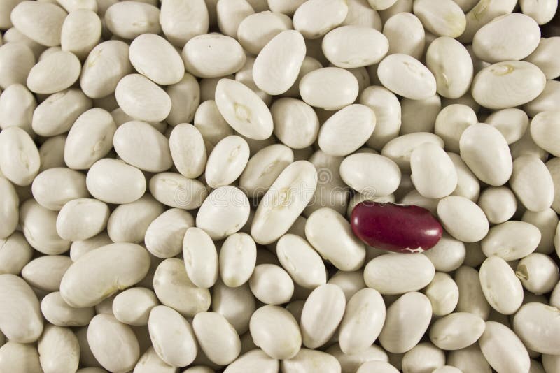 Kidney bean , legume stock image. Image of natural, pattern 67262295