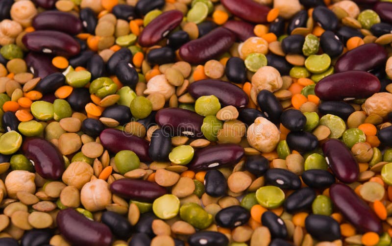 Kidney Bean, Lentil, Peas and Chickpea Stock Photo Image of group