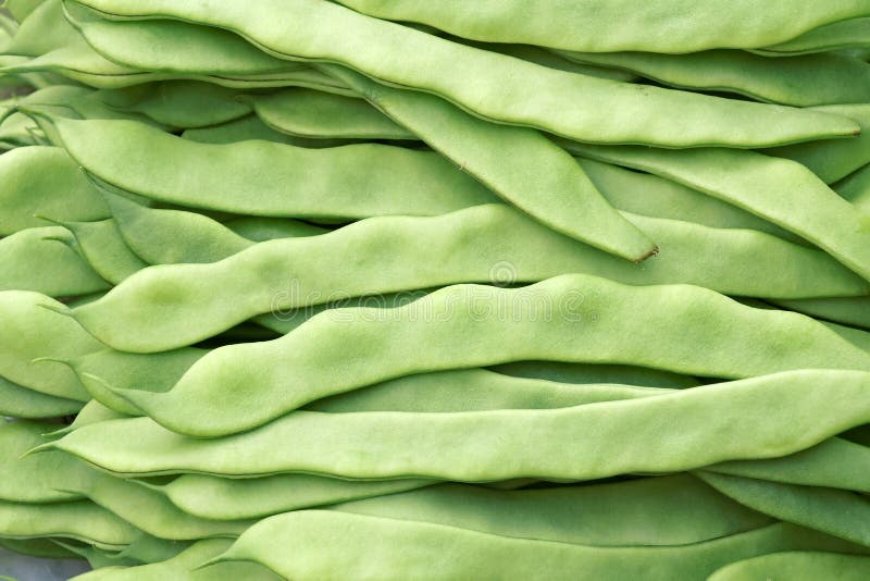 Kidney bean pods stock image. Image of vegetables, bean 25869393