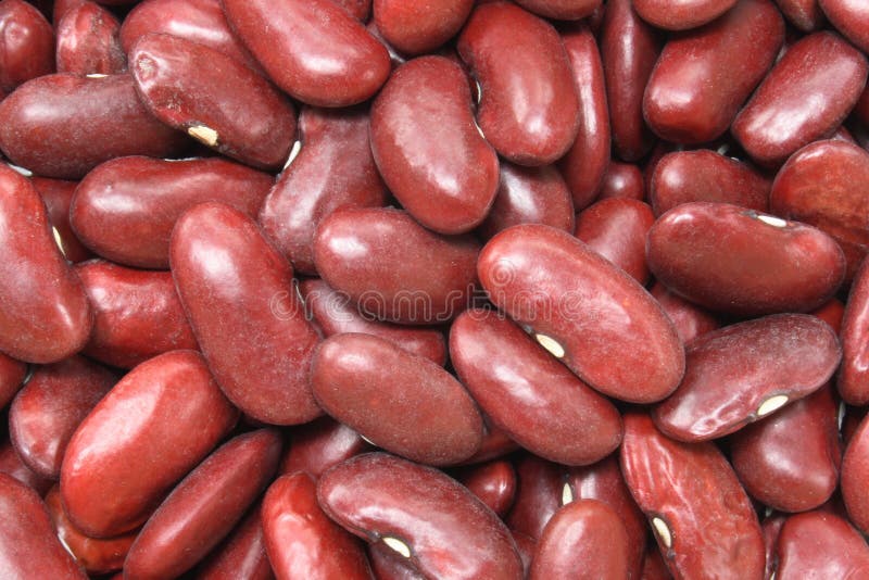 Kidney beans royalty free stock photography