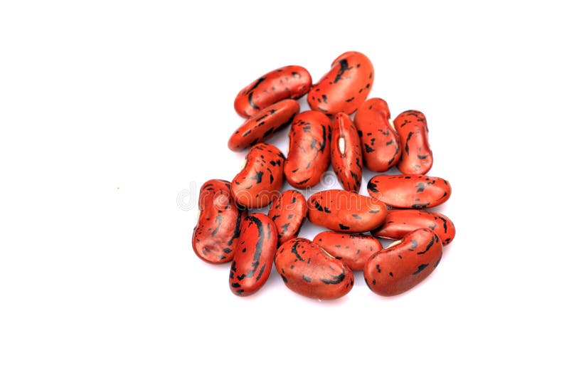 Kidney beans royalty free stock photography