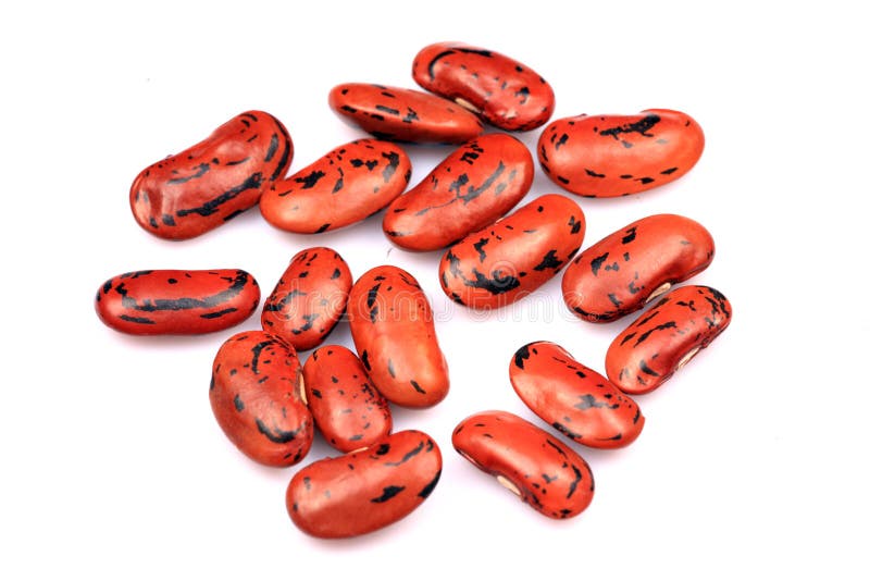 Kidney beans stock photo