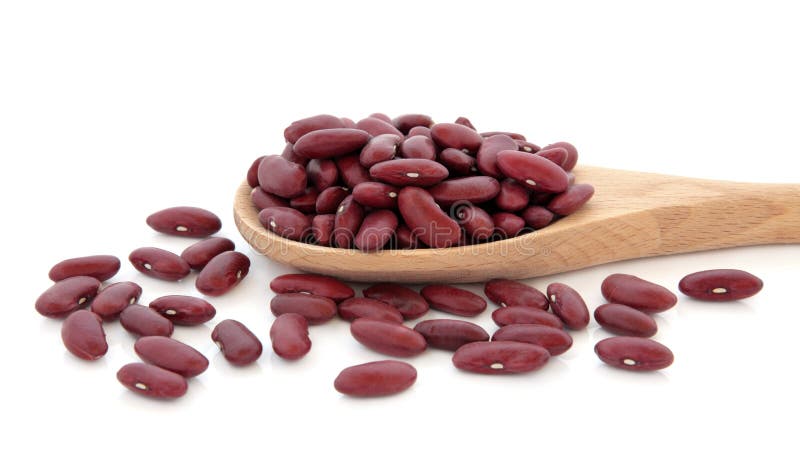 Kidney Beans royalty free stock photography