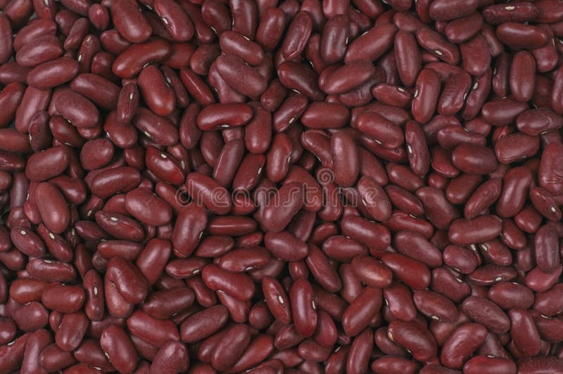 Kidney-beans stock photo