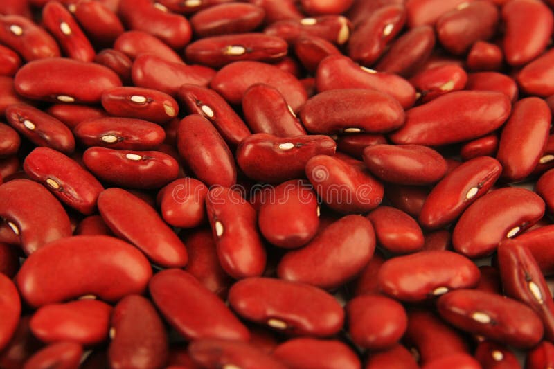 Beans legumes stock image. Image of kidney, vegetable 49025789