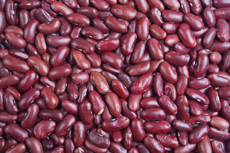 Many Kidney Beans on a White Background, Purple Beans, Royal Beans