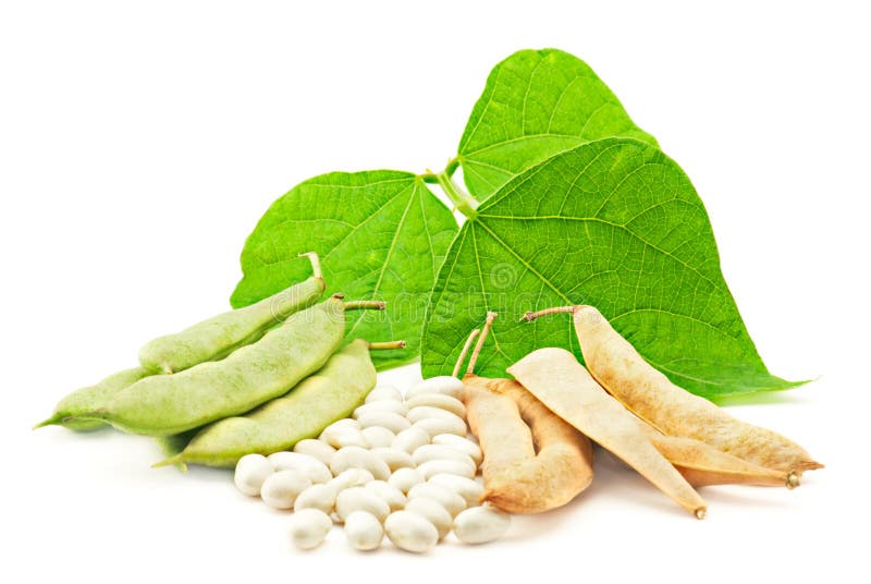 Kidney Beans stock image. Image of beans, diet, ingredient 16826255